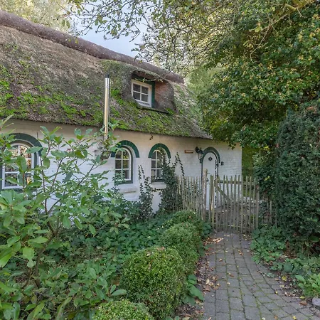 Kastanienhof Strandhafer Lejlighed Wisch (Nordfriesland)