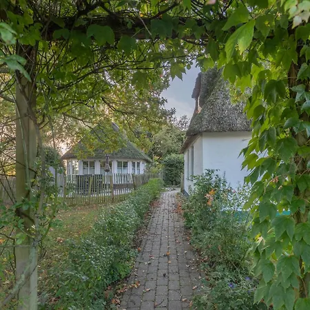 Kastanienhof Strandhafer Wisch (Nordfriesland)